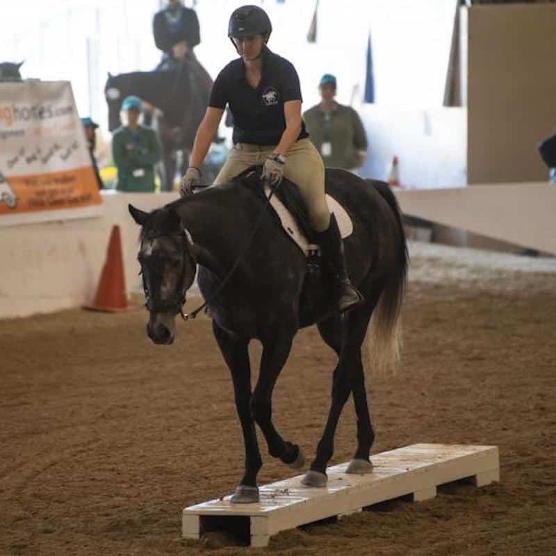 Talent, Versatility of Off-Track Thoroughbreds on Display at Retired Racehorse Project’s ‘Mega-Makeover’